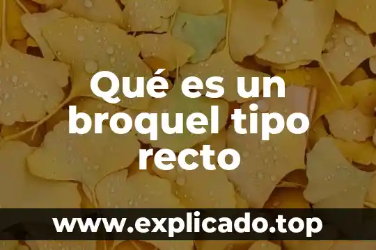 A que es igual el doble de un angulo recto 3 Qué es un broquel tipo recto