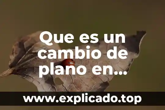 Qué es el plano caudal 6 Que es un cambio de plano en geometria