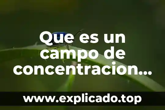 Que es simulacro de campo 4 Que es un campo de concentracion europeo