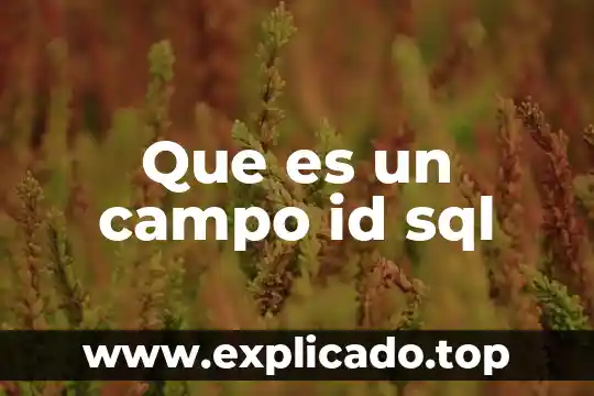 Que es un campo id sql