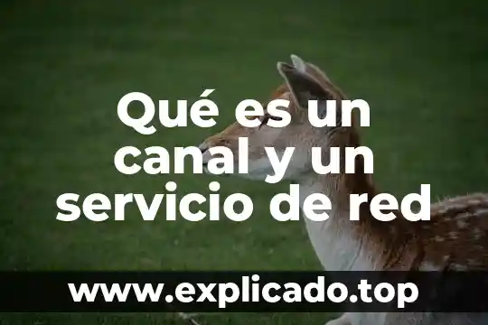 Qué es canal en ciencias de la comunicación 8 Qué es un canal y un servicio de red
