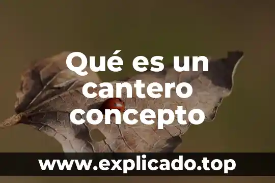Qué es un cantero concepto