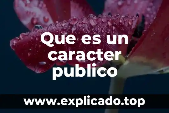 Que es registrador público 4 Que es un caracter publico