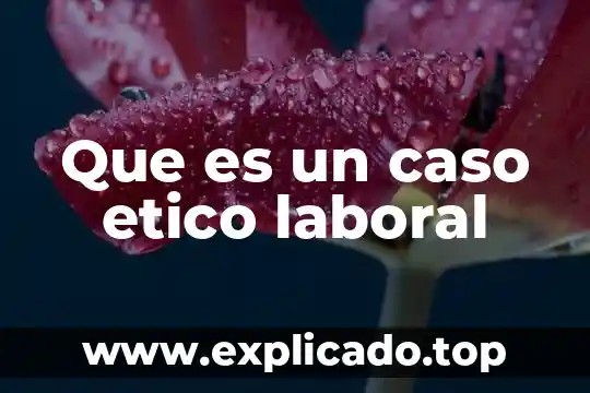 Que es una empressa derecho laboral 8 Que es un caso etico laboral