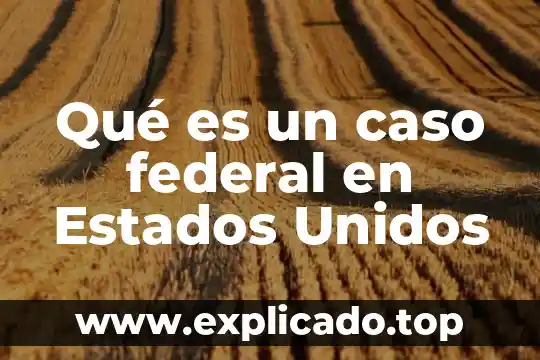 Qué es un caso federal en Estados Unidos