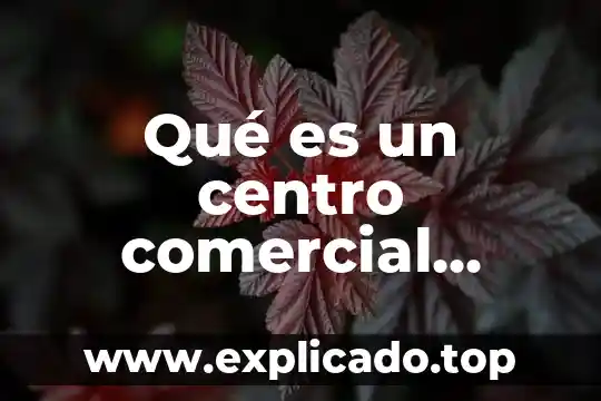 Que es el centro nacional de metrología 7 Qué es un centro comercial definición