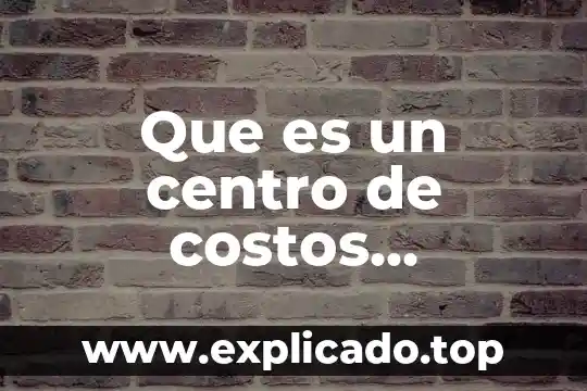 Que es el centro nacional de metrología 6 Que es un centro de costos estandar