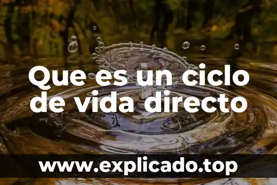 Que es un ciclo de vida directo