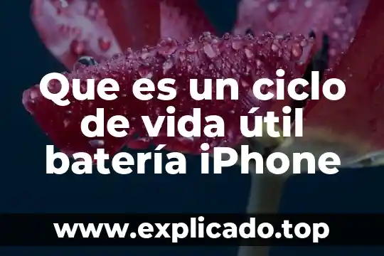 Que es la evapotranspiración en el ciclo del agua 4 Que es un ciclo de vida útil batería iPhone