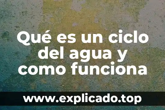 Que es excel y quienes lo utilizan mas 3 Qué es un ciclo del agua y como funciona