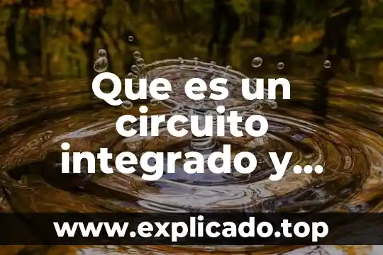 Que es manejo en manejo integrado de plagas 5 Que es un circuito integrado y compuertas logicas