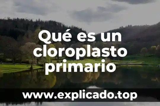Que es el direccionamiento primario 5 Qué es un cloroplasto primario