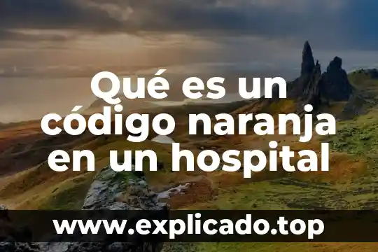 Que es la prueba en el nuevo codigo procesal penal 7 Qué es un código naranja en un hospital