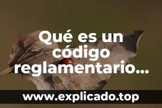 Qué es un código reglamentario para el municipio de Puebla