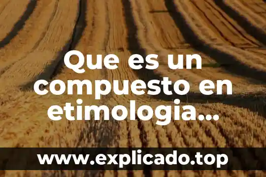 Qué es etimología psicología 6 Que es un compuesto en etimologia ejemplos