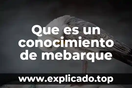 Que es conocimiento segun fidias arias 8 Que es un conocimiento de mebarque