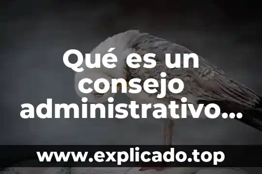 Que es el consejo nacional de la industria maquiladora 8 Qué es un consejo administrativo de una empresa