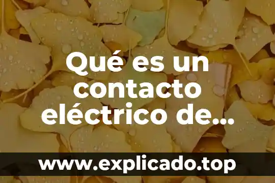 Que es el electromagnetismo en un motor electrico 6 Qué es un contacto eléctrico de relé