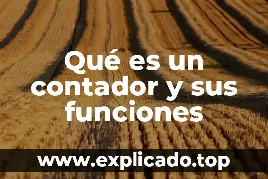 Que es un contador de costos 3 Qu茅 es un contador y sus funciones