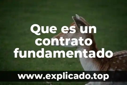 Que es un contrato de adquisicion 8 Que es un contrato fundamentado