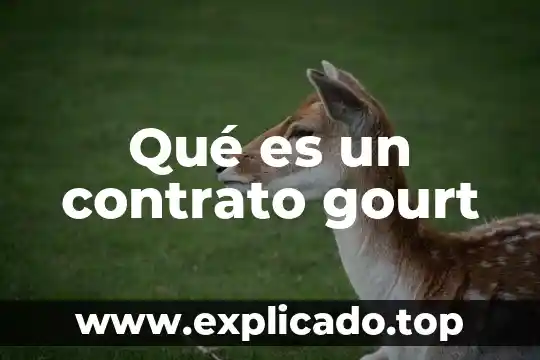 Que es un contrato de adquisicion 6 Qué es un contrato gourt