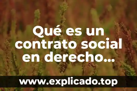 En derecho qué es causa mercantil 3 Qué es un contrato social en derecho mercantil