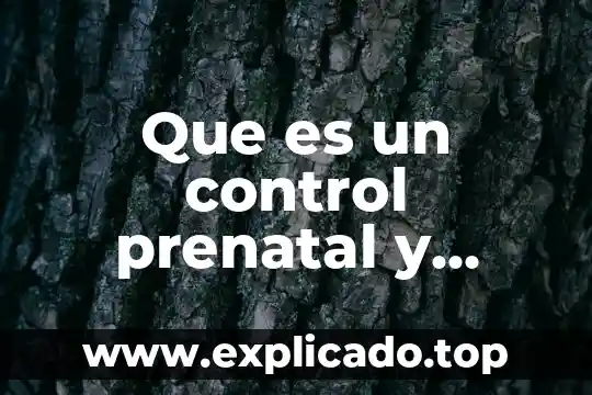 Que es un control prenatal y cuales son sus objetivos