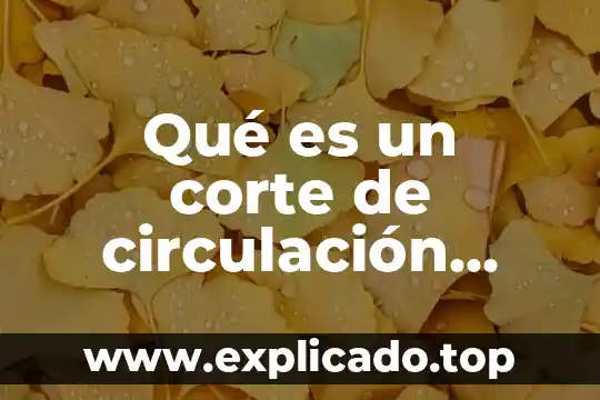 Que es el corte carre de cerdo 4 Qué es un corte de circulación científicamente
