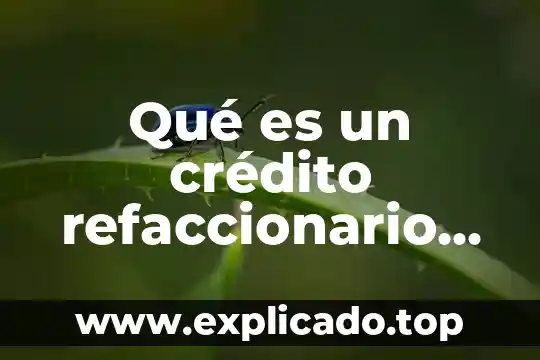 Que es depreciaciones en contabilidad 5 Qué es un crédito refaccionario en contabilidad