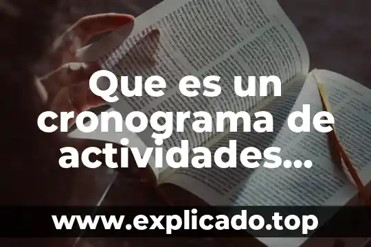 Qué es correlacionar definición 5 Que es un cronograma de actividades definicion