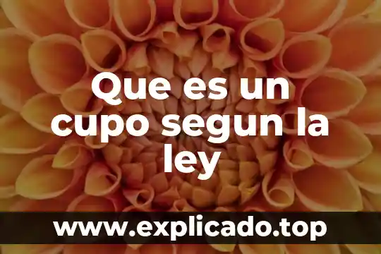 Que es un cupo segun la ley