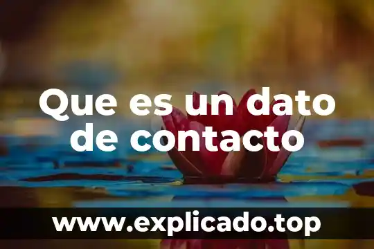 Podolski text que es 4 Que es un dato de contacto