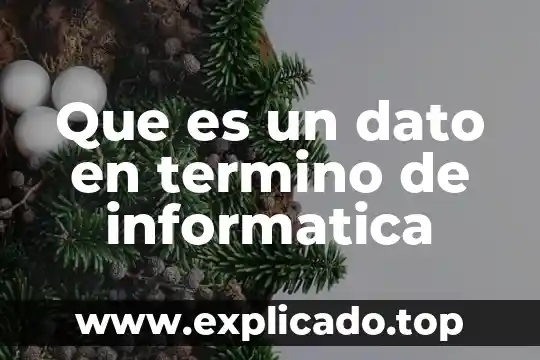 Qué es un dato vacío en investigación 5 Que es un dato en termino de informatica