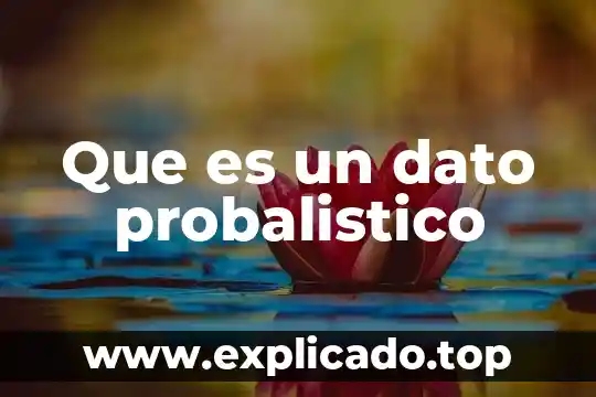 Qué es un dato vacío en investigación 6 Que es un dato probalistico