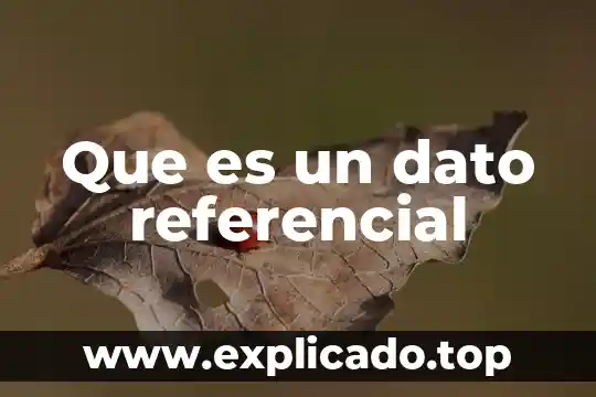 Que es funcion referencial concepto caracteristicas y ejemplo 3 Que es un dato referencial