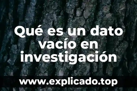 Que es un dato en termino de informatica 8 Qué es un dato vacío en investigación