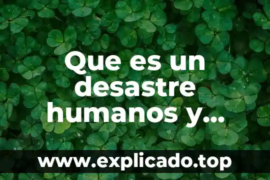 Que es un ensayo y cuales sonses partes 3 Que es un desastre humanos y cuales son