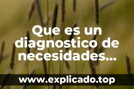 Que es un diagnostico de necesidades sociales yahoo