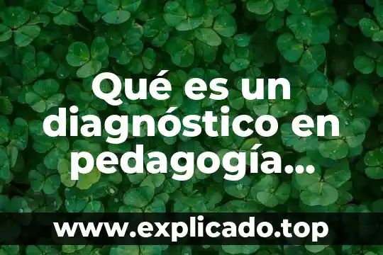 Que es la carta de magna pedagogia 5 Qué es un diagnóstico en pedagogía según vygotsky