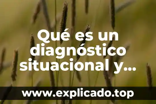 Que es el pantalla y sus partes 5 Qué es un diagnóstico situacional y sus partes