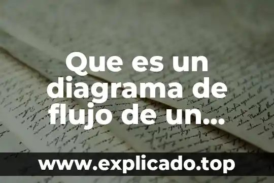 Que es el raptor para diagramas de flujo 4 Que es un diagrama de flujo de un programa