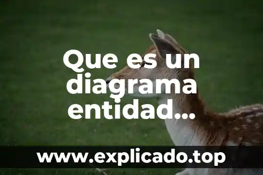 Diagrama entidad relación que es 7 Que es un diagrama entidad relacion en informatica