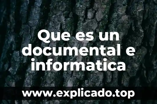 Que es alcance en unas politicas de seguridad informatica 3 Que es un documental e informatica