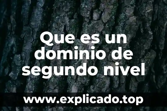 Que es el nivel de ingresos 5 Que es un dominio de segundo nivel