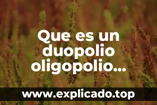 Qué es chapa de madera natural 5 Que es un duopolio oligopolio oligopsonio oligopolio natural monopolio natural