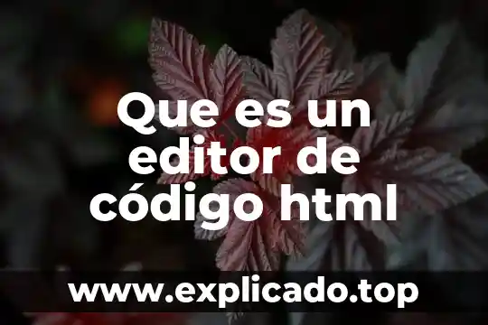 Que es un editor de código html