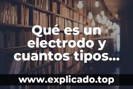 Qué es el amor y cuantos tipos de amor hay 4 Qué es un electrodo y cuantos tipos hay