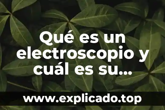 Que es y que funcion tiene la condosef 5 Qué es un electroscopio y cuál es su función