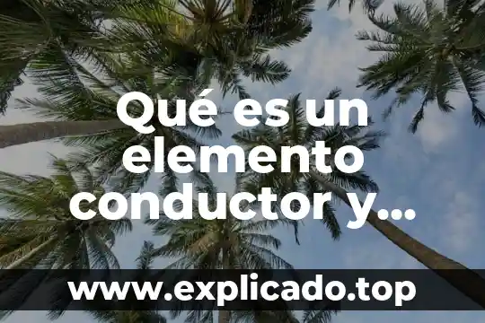 Que es el elemento social y natural 8 Qué es un elemento conductor y menciona algunos