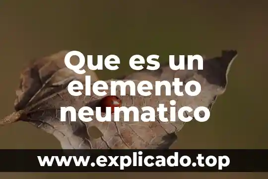 Que es un elemento neumatico